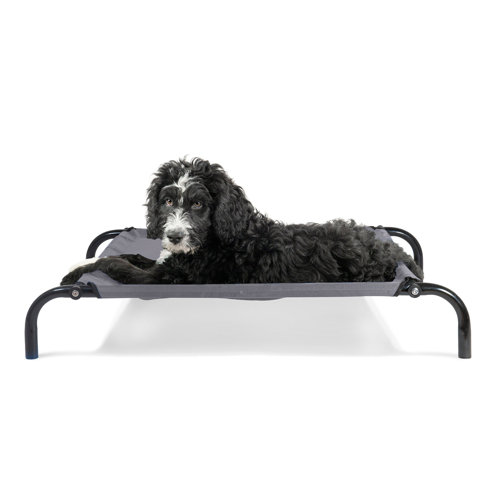 Archie & Oscar™ Halley Reinforced Dog Cot & Reviews Wayfair